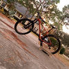 casexton08